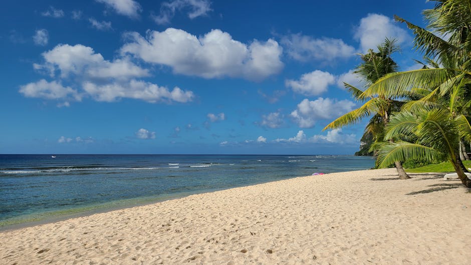 Guam: guía completa de la isla más sorprendente del Pacífico en 2026 5 Playa tropical con palmeras bajo cielo azul en isla del Pacífico