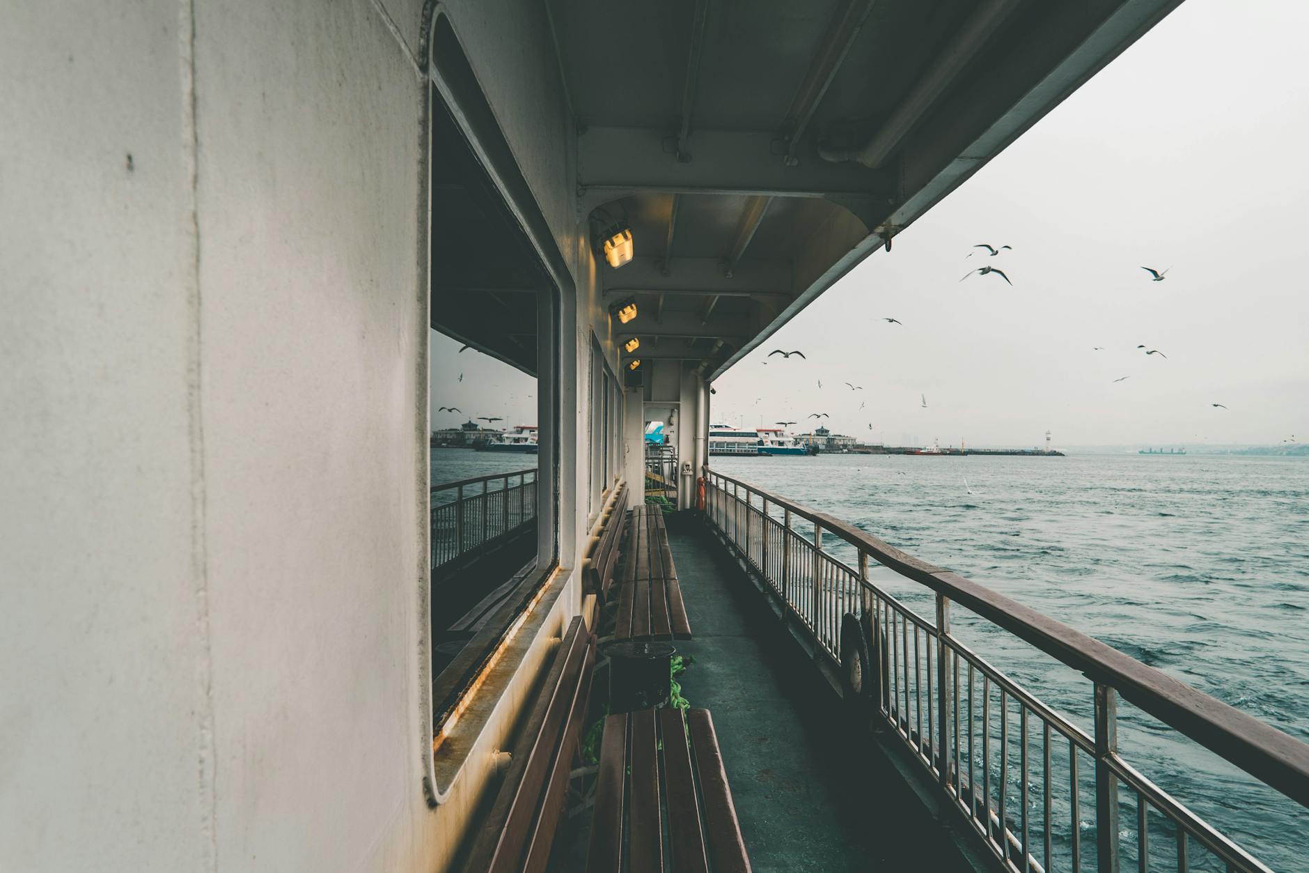 Ferry navegando con gaviotas sobrevolando y vistas costeras al fondo