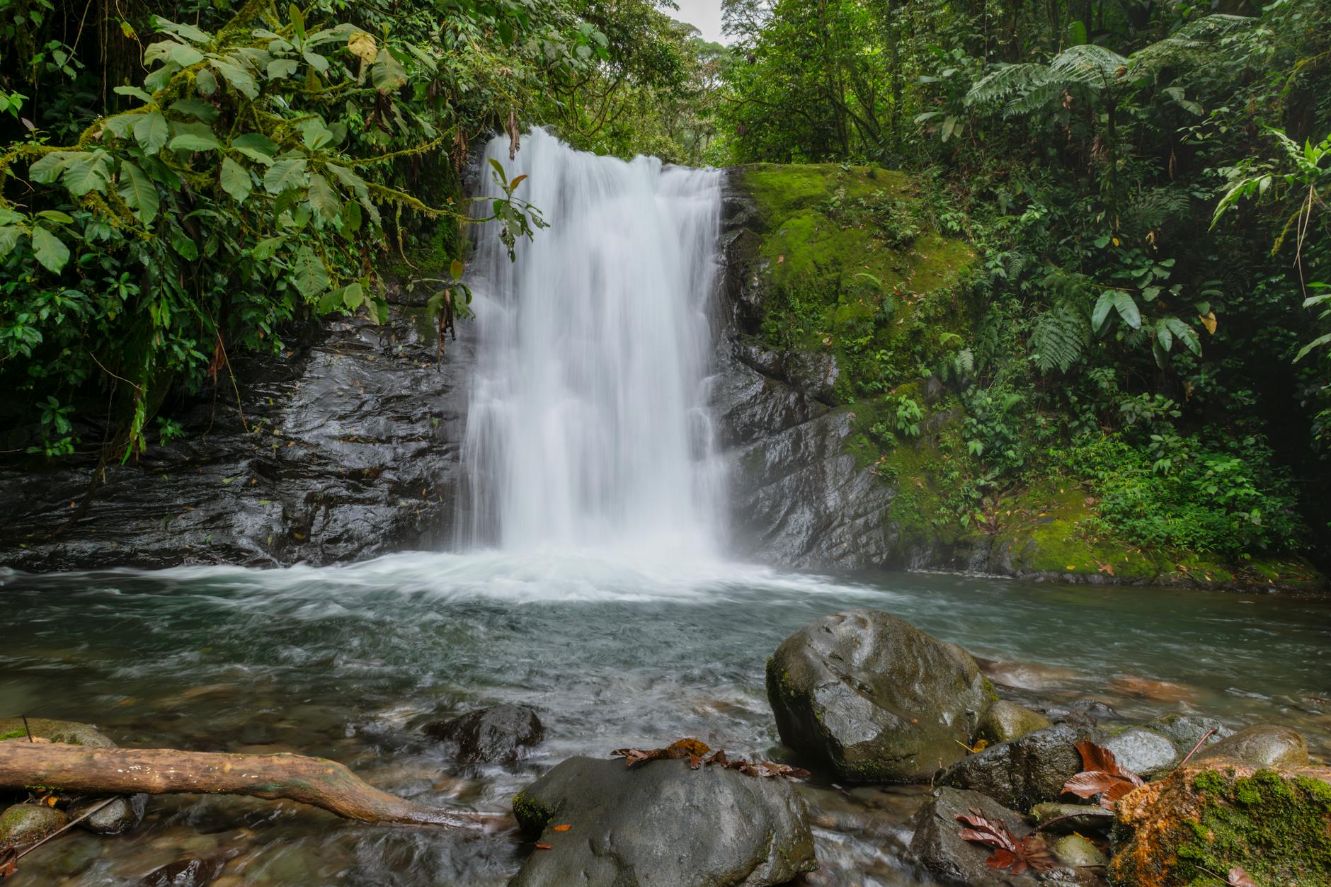 Cascada espectacular entre selva tropical verde en Costa Rica