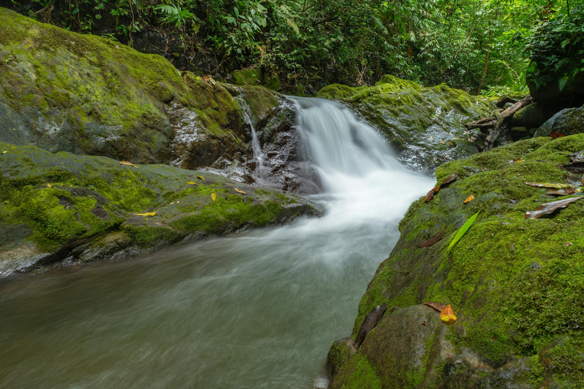 Cascada en el bosque lluvioso de Costa Rica