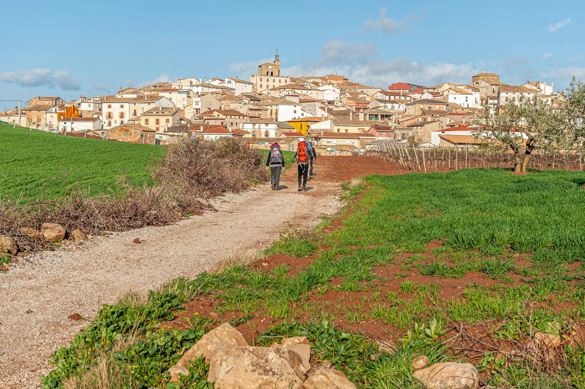 Dos peregrinos con mochilas caminan hacia Cirauqui en Navarra en el Camino Frances