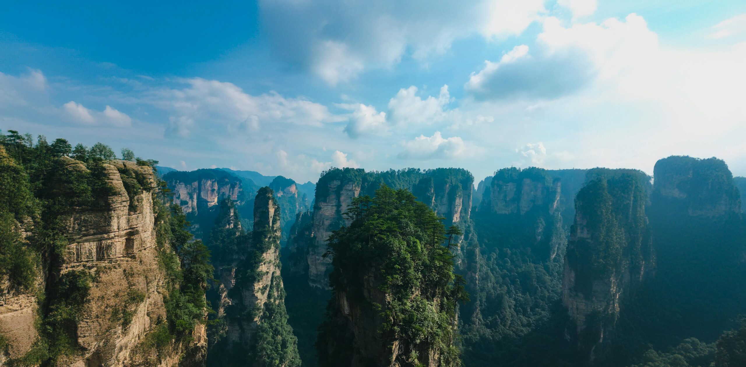 Formaciones rocosas y bosques del parque nacional Zhangjiajie en Hunan China