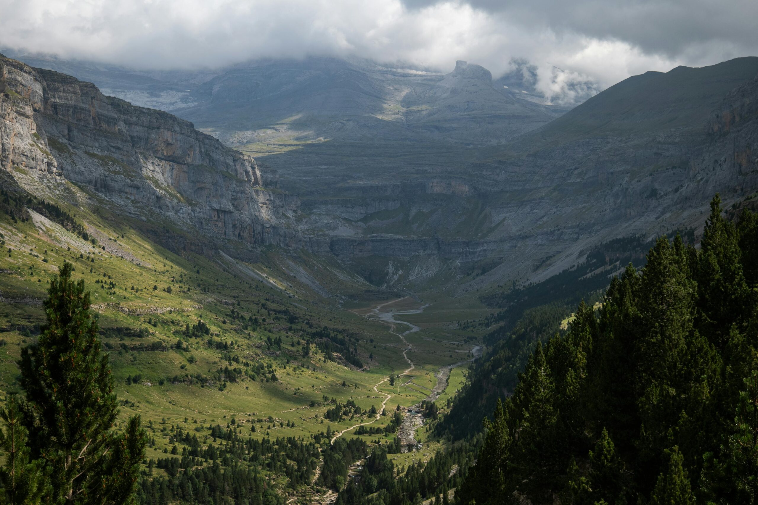 Valle de montanas y vegetacion frondosa en el Pirineo, paisaje de la bajada del Alto de Erro