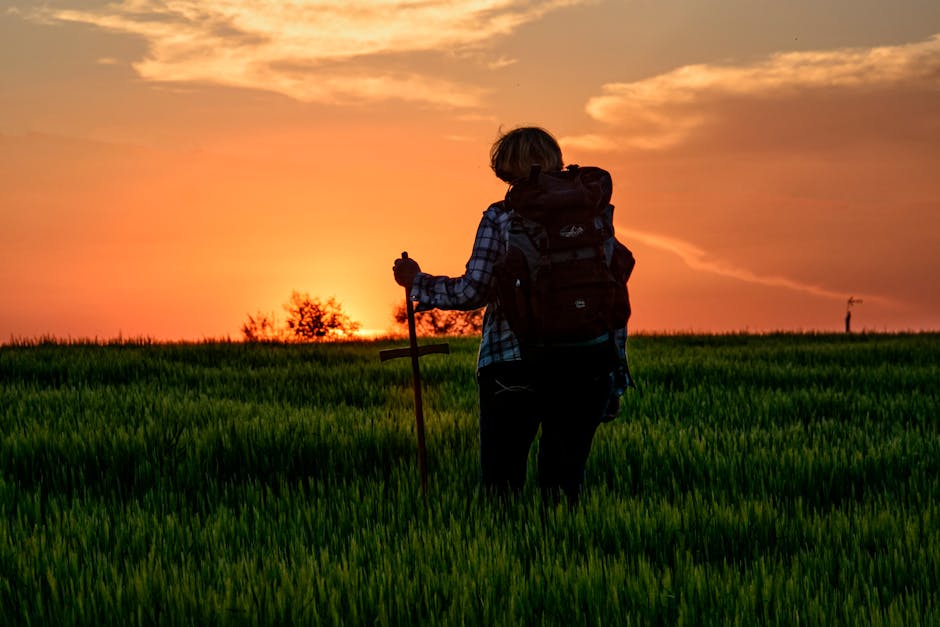 Peregrino en silueta al atardecer en un campo de trigo del Camino de Santiago