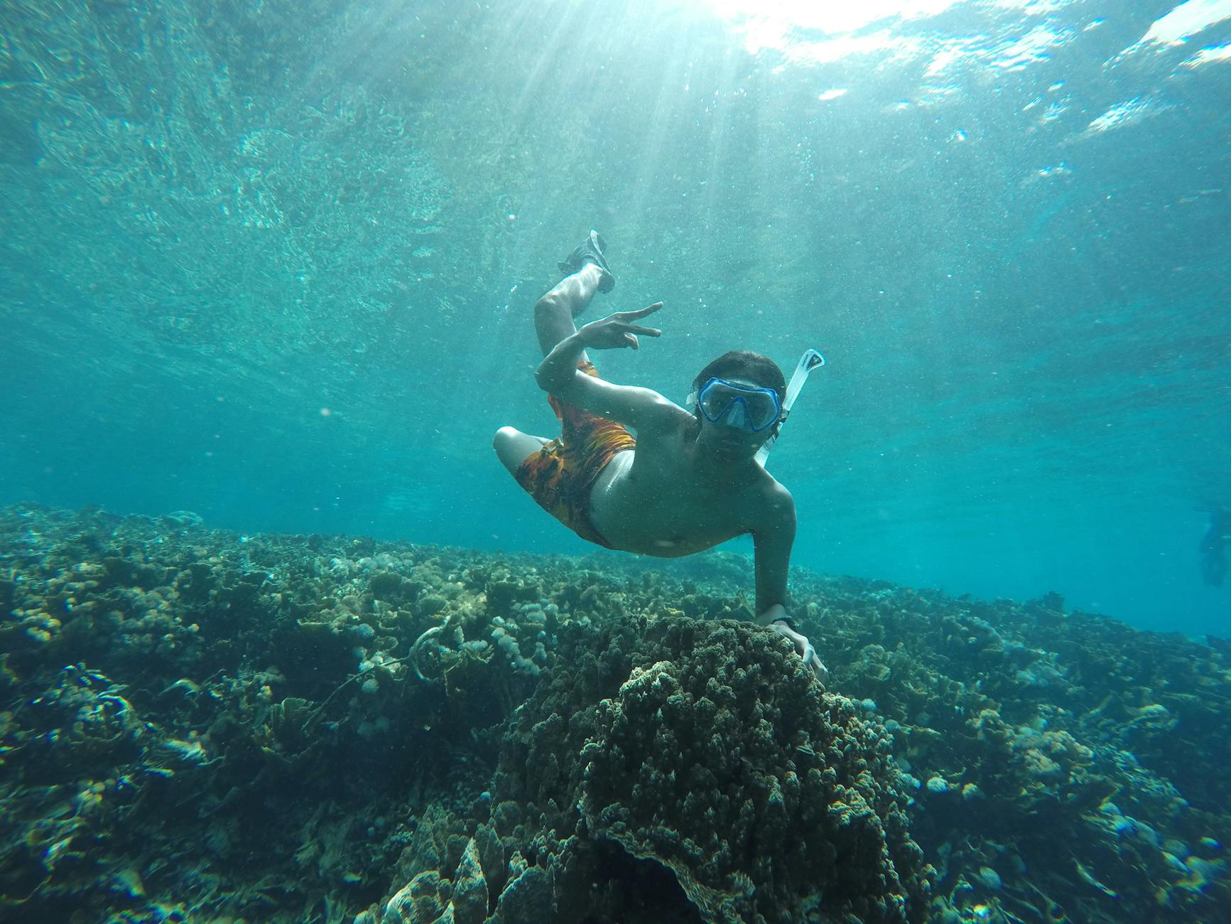Snorkel sobre arrecifes de coral en Norte de Maluku, Indonesia