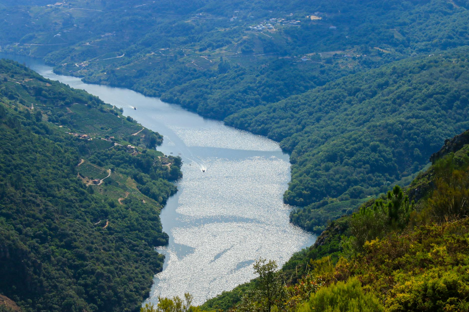 Vista aerea del canon del rio Sil con vinedos en terraza de la Ribeira Sacra