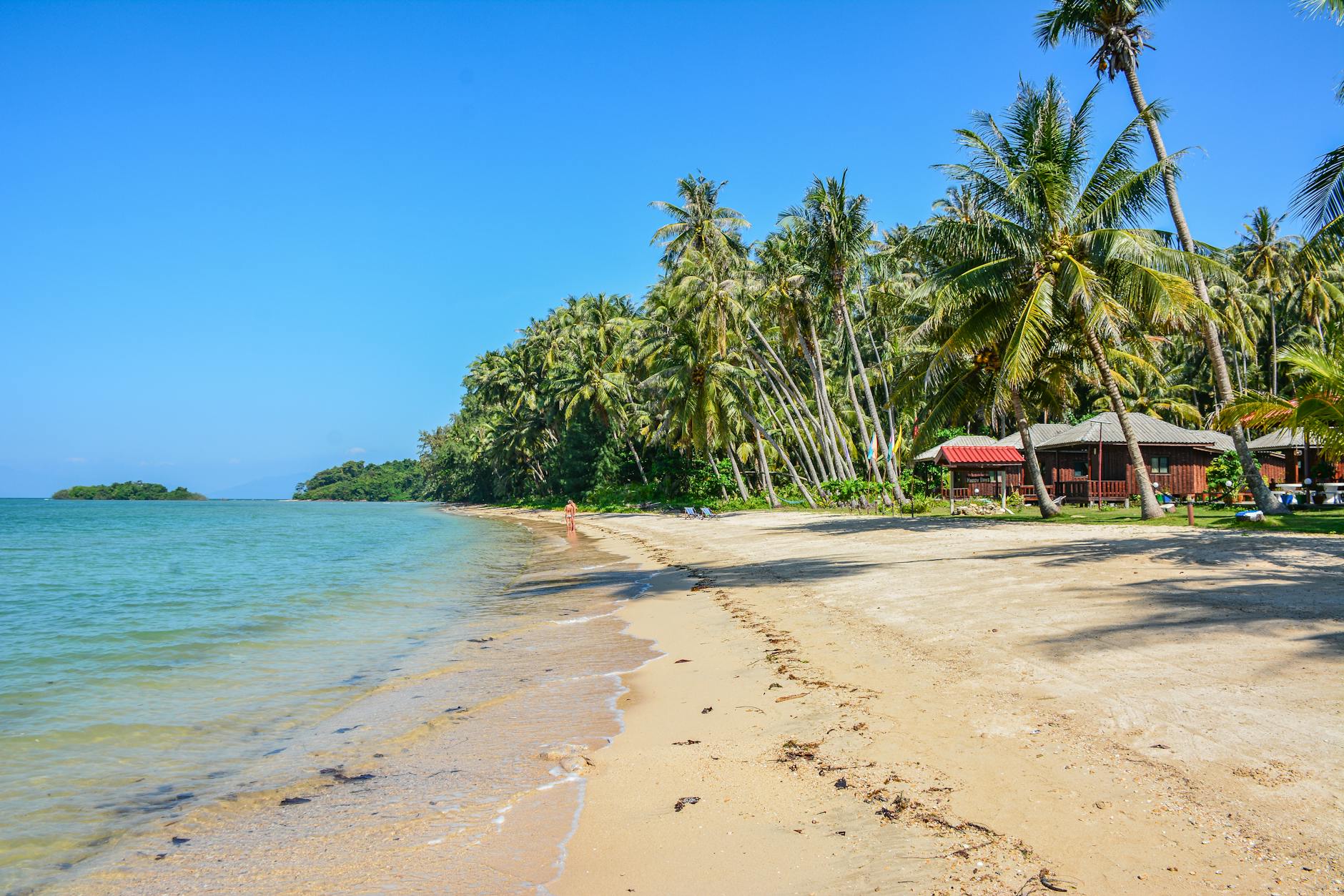 Playa tropical en Ko Mak, Tailandia, con palmeras y aguas turquesas cristalinas