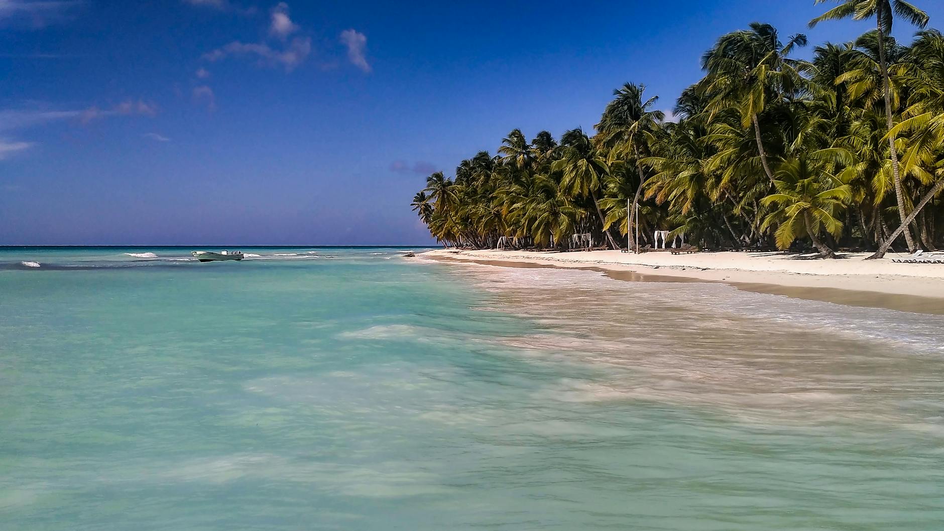 Playa tropical caribena con palmeras y agua turquesa en Republica Dominicana