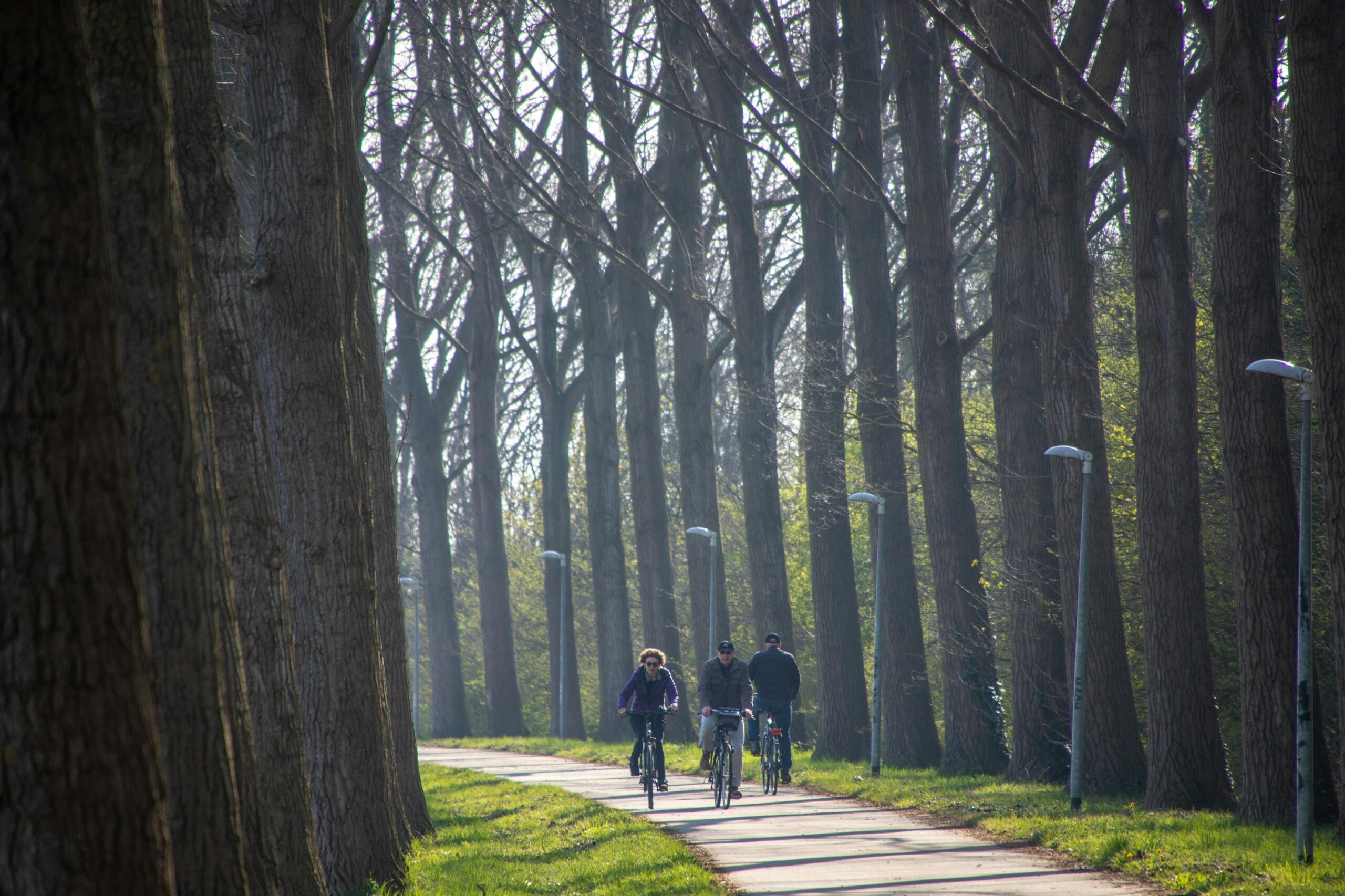 Ciclistas pedaleando por una ruta arbolada en Krommenie, Holanda