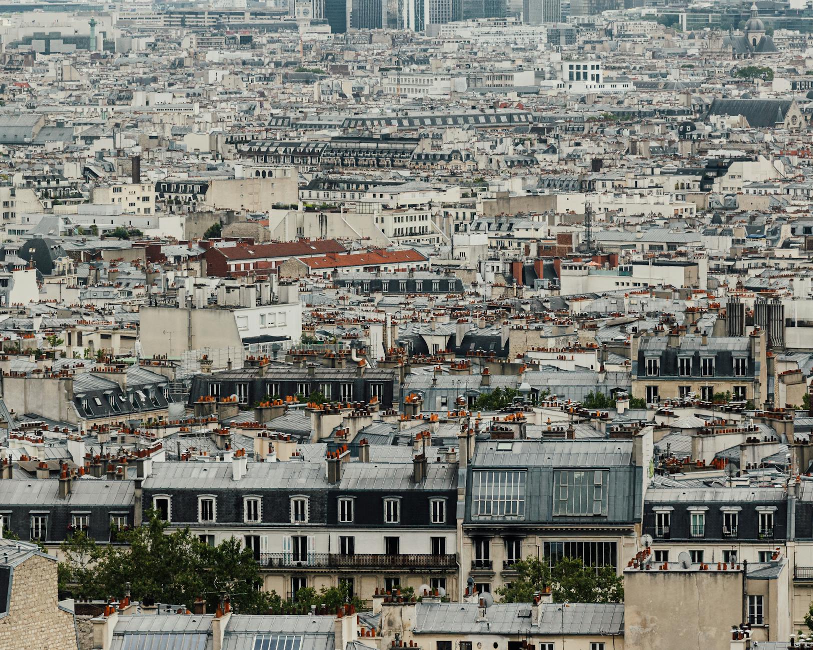 Tejados de zinc de París vistos desde una terraza alta