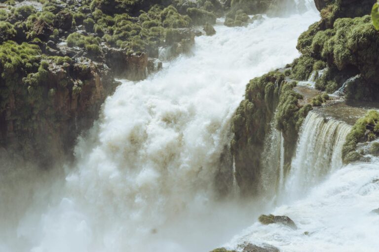 Cataratas de Iguazú con vegetación exuberante