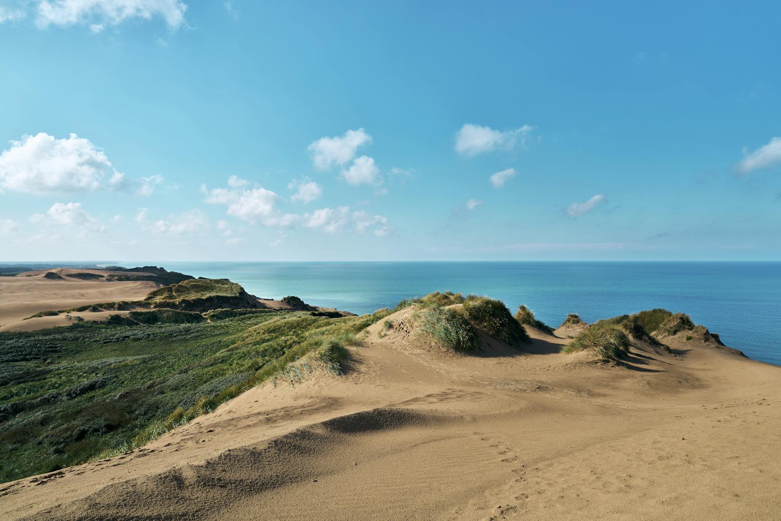 Dunas de arena y oceano en Lokken, Dinamarca, en un dia soleado