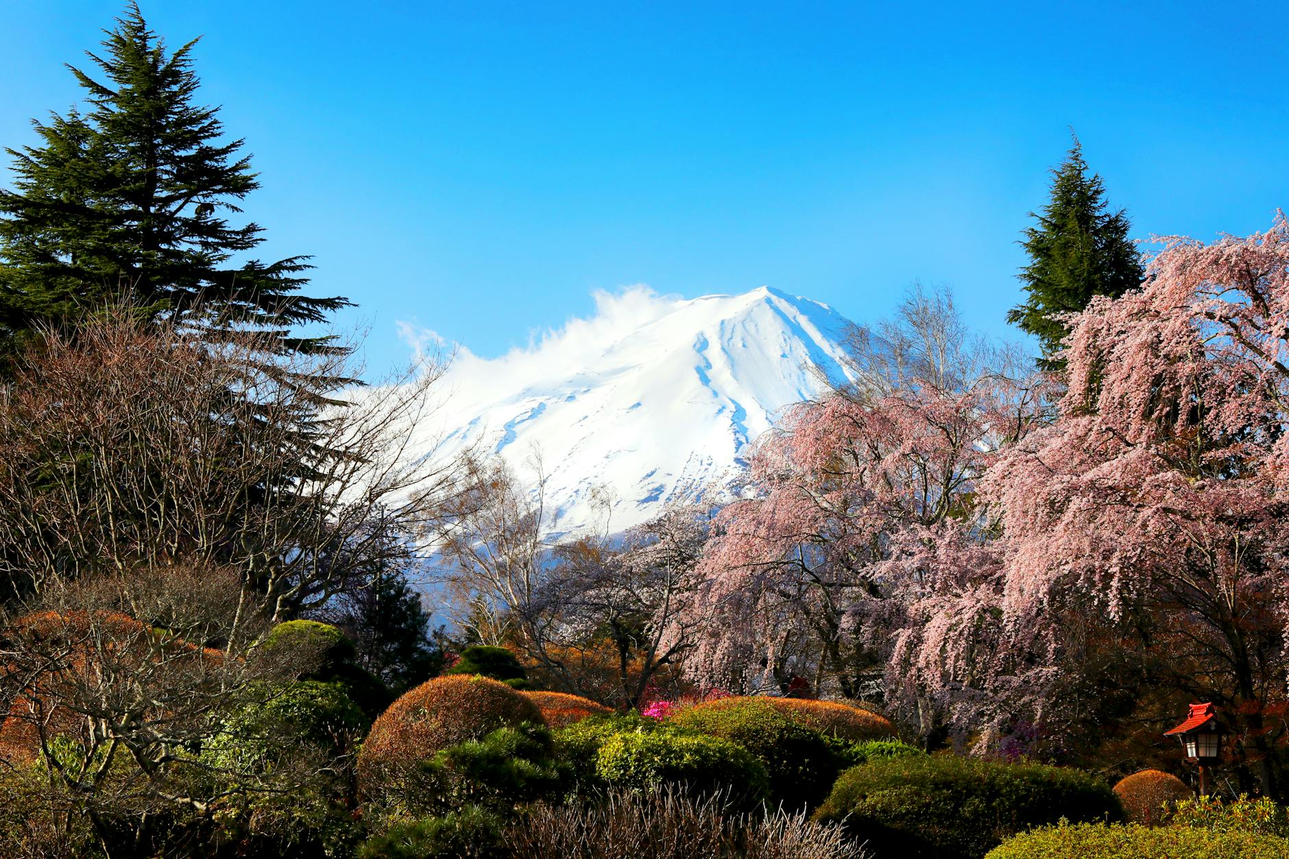 Monte Fuji enmarcado por cerezos en flor en Fujikawaguchiko cerca de Tokio