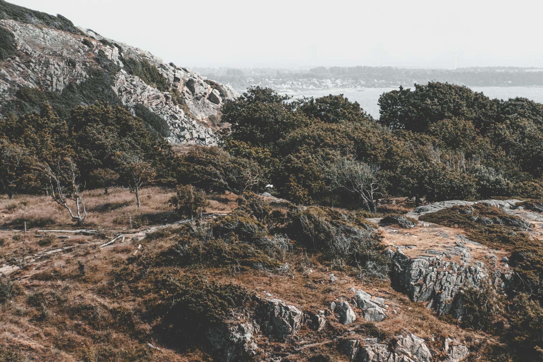Costa rocosa de Molle en Skane, Suecia, con vegetacion verde y mar de fondo