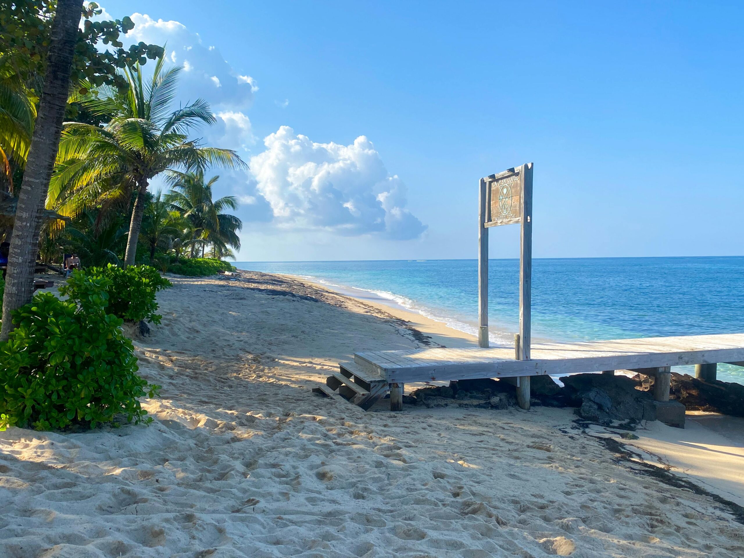 Playa caribeña con palmeras y agua cristalina en las Islas de la Bahía de Honduras