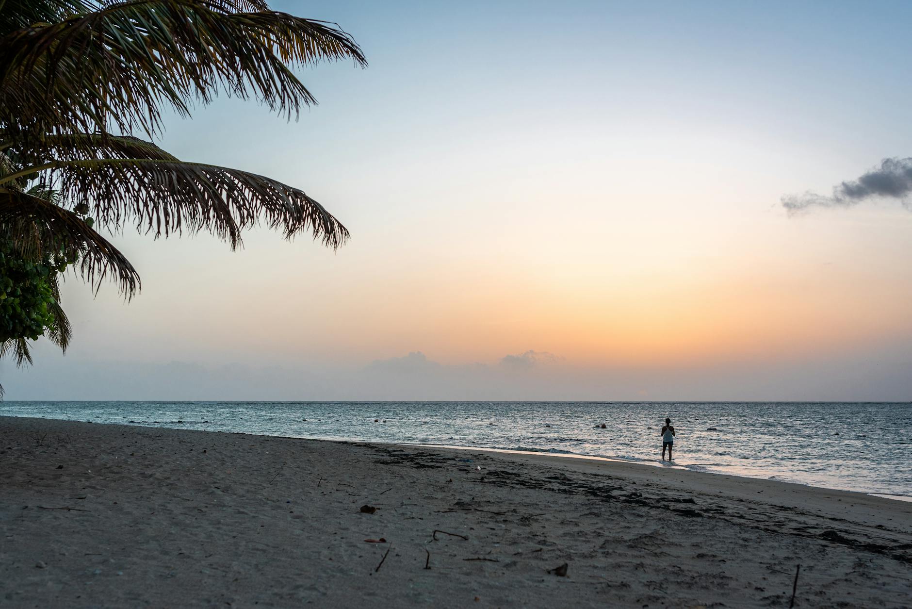 Atardecer en una playa de Tobago con palmeras y mar tranquilo