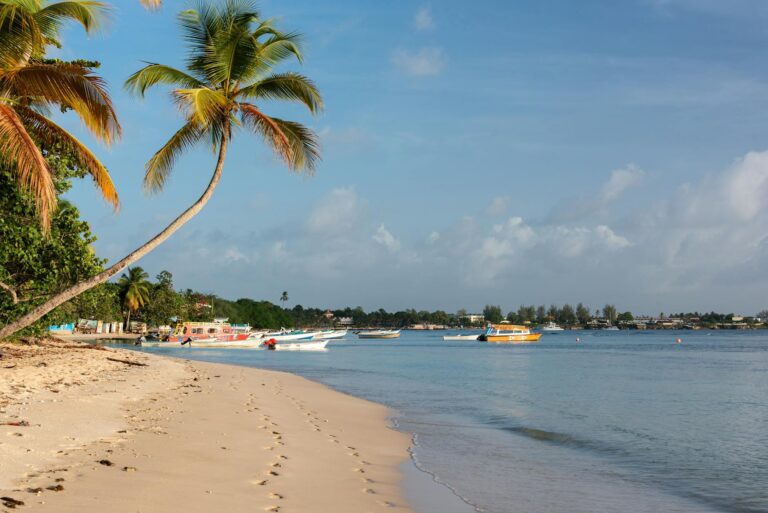 Pigeon Point en Tobago con palmeras y barcos en aguas turquesa