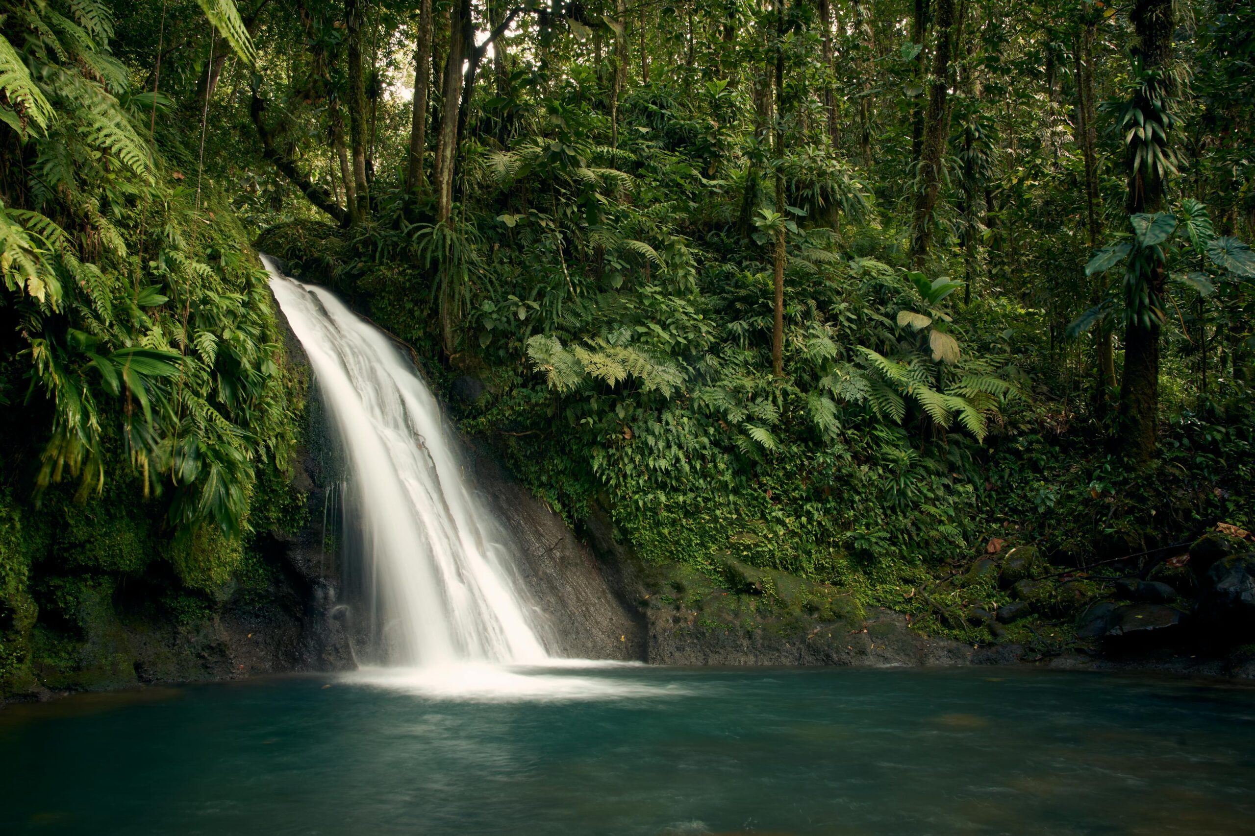 Cascada en plena selva tropical caribeña estilo Cataratas de Trinidad