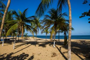 Bahia caribena con aguas turquesa y arena blanca costa de Aragua Venezuela