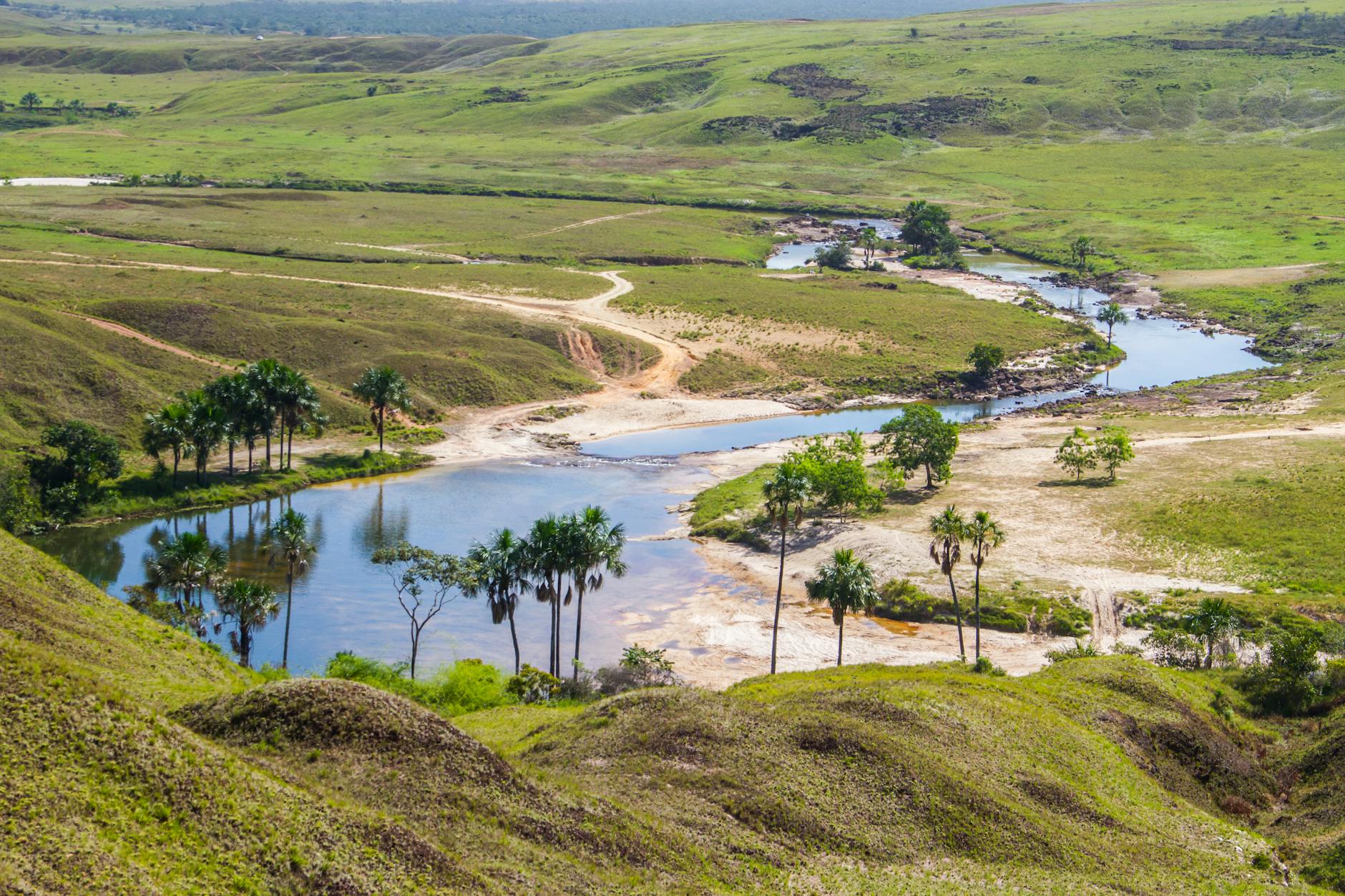 Parque Nacional Canaima en 2026: cómo llegar al Salto Ángel y dormir entre tepuyes 3 Paisaje con rios y palmeras en San Francisco de Yuruani, estado Bolivar, Venezuela