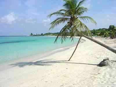 Utila isla encantadora en el Mar Caribe