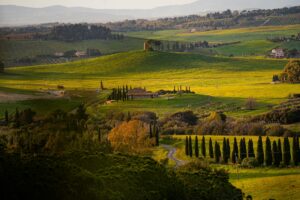 Paisaje de la Toscana italiana con colinas y viñedos