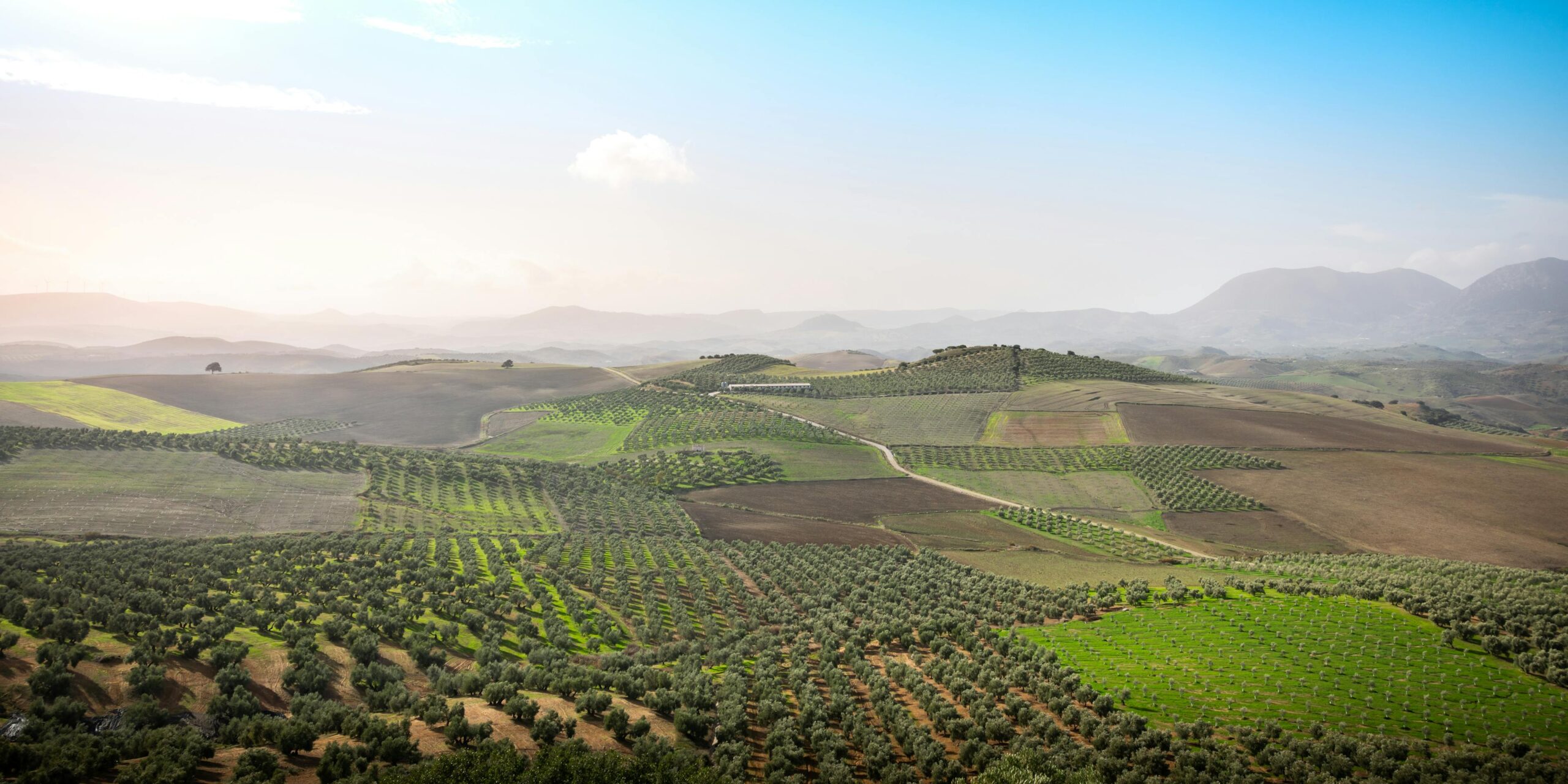 Turismo interior en Andalucía: guía para descubrir Jaén en 2026 1 Sierra de Cazorla con vegetación mediterránea en Jaén