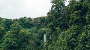 Cascada en selva tropical, destino de ecoturismo