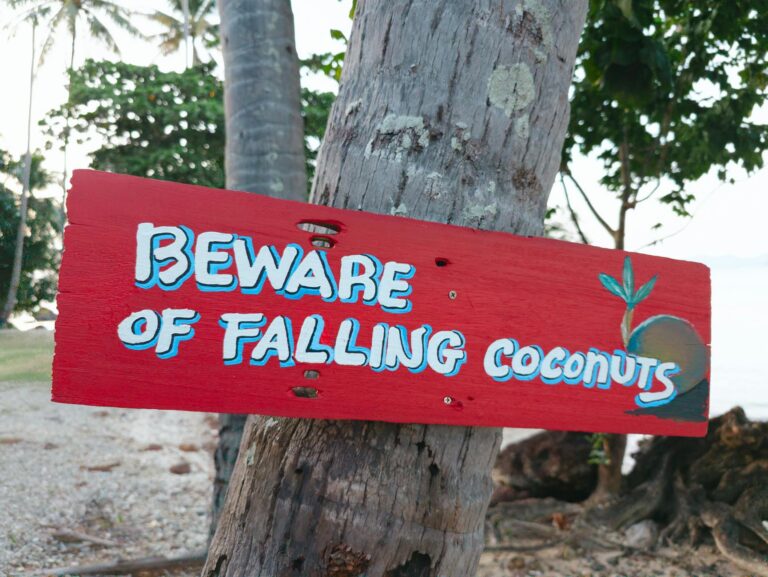 Home Elementor 5 Cartel de advertencia sobre caída de cocos en playa tropical