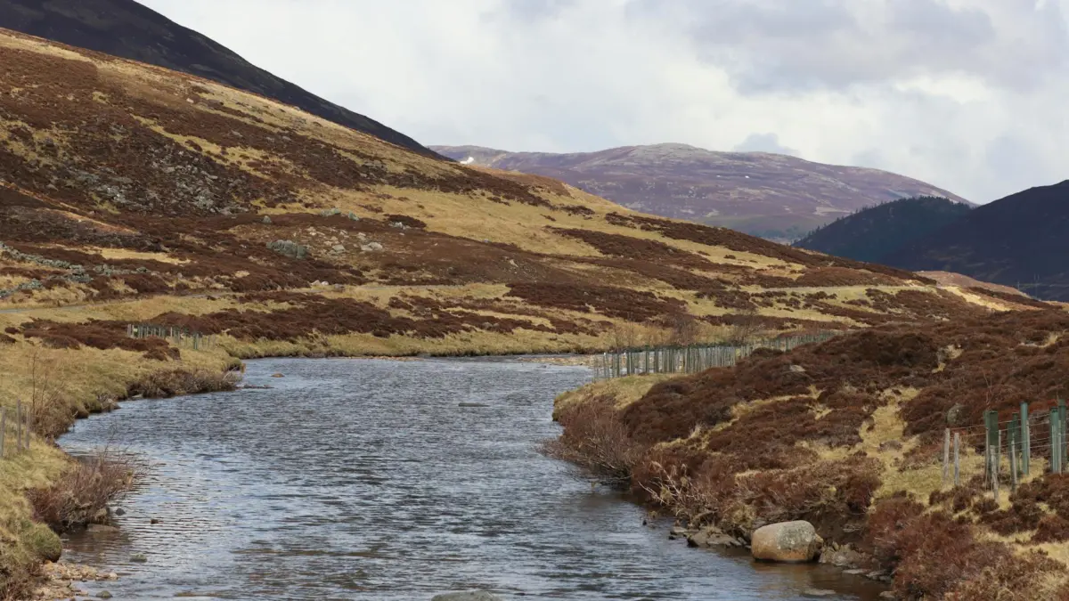 Paisaje de las Highlands de Escocia con praderas verdes y cielo nublado