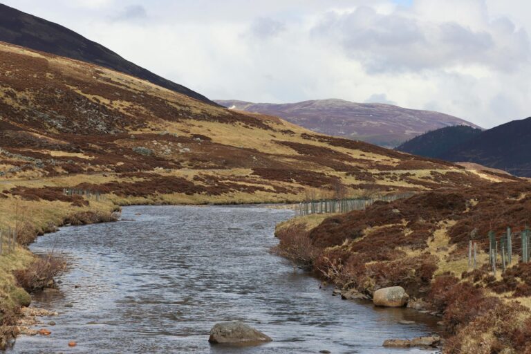 Home Elementor 6 Paisaje de las Highlands de Escocia con praderas verdes y cielo nublado