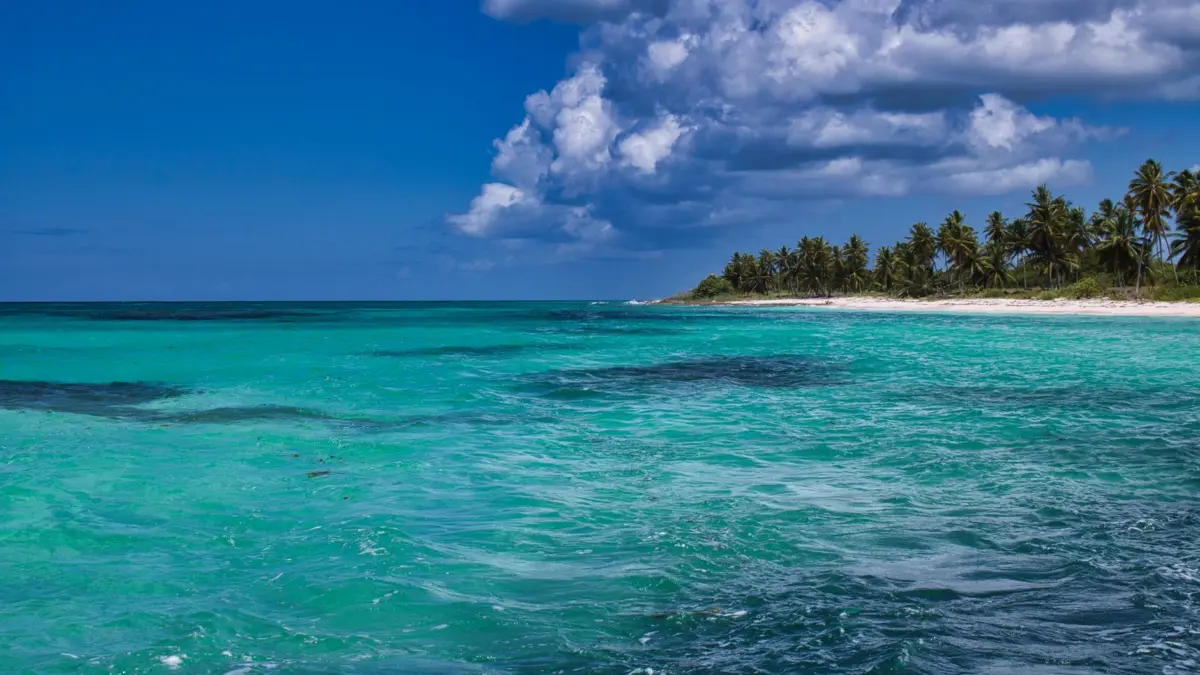 Isla caribeña con aguas turquesas y palmeras bajo el sol tropical