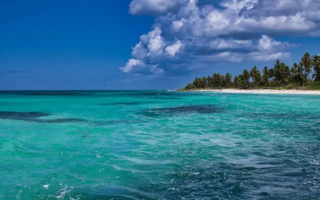 Isla caribeña con aguas turquesas y palmeras bajo el sol tropical