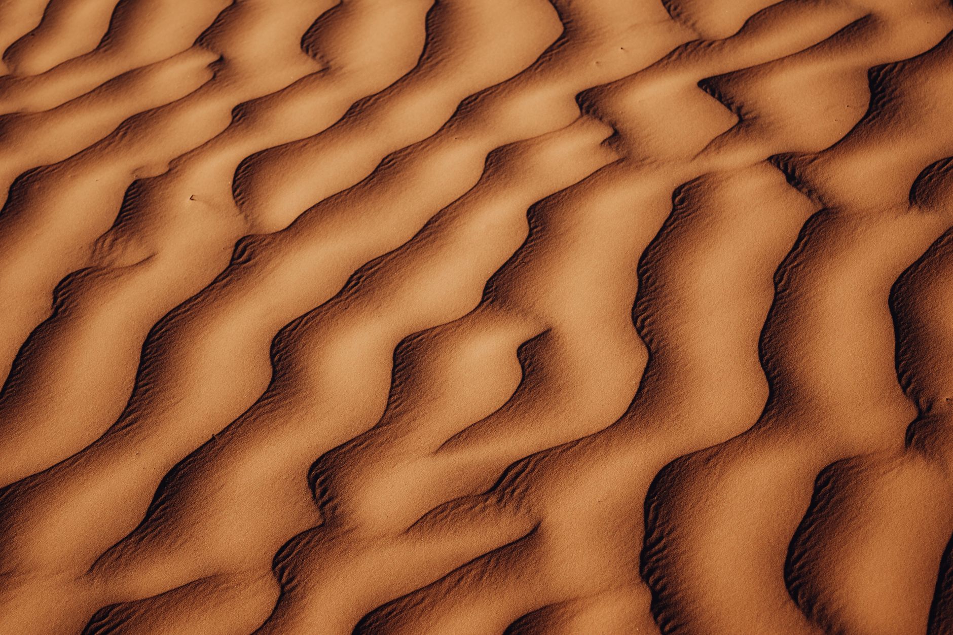 Arquitectura beréber del sur de Túnez en el desierto del Sahara