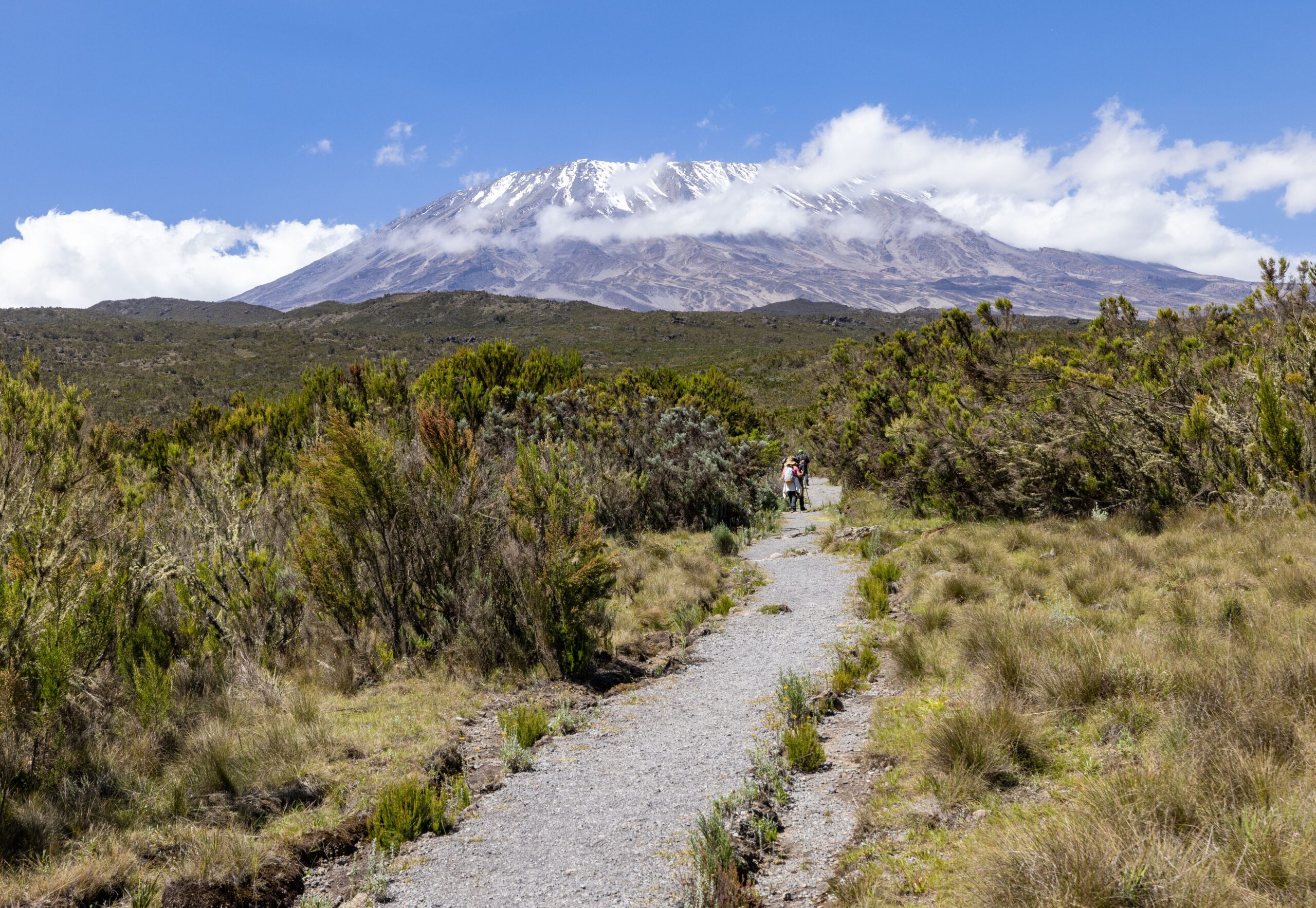 Campamento base en las laderas del Kilimanjaro Tanzania