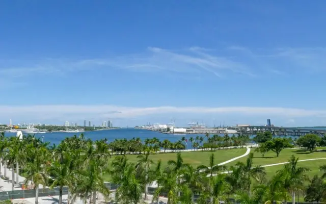 Miami Beach con palmeras y rascacielos al fondo, Florida