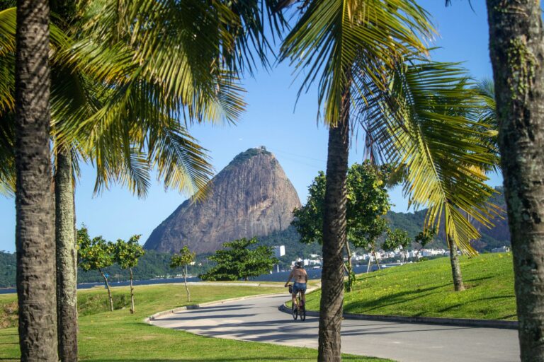 Vista panorámica de Río de Janeiro desde el Corcovado