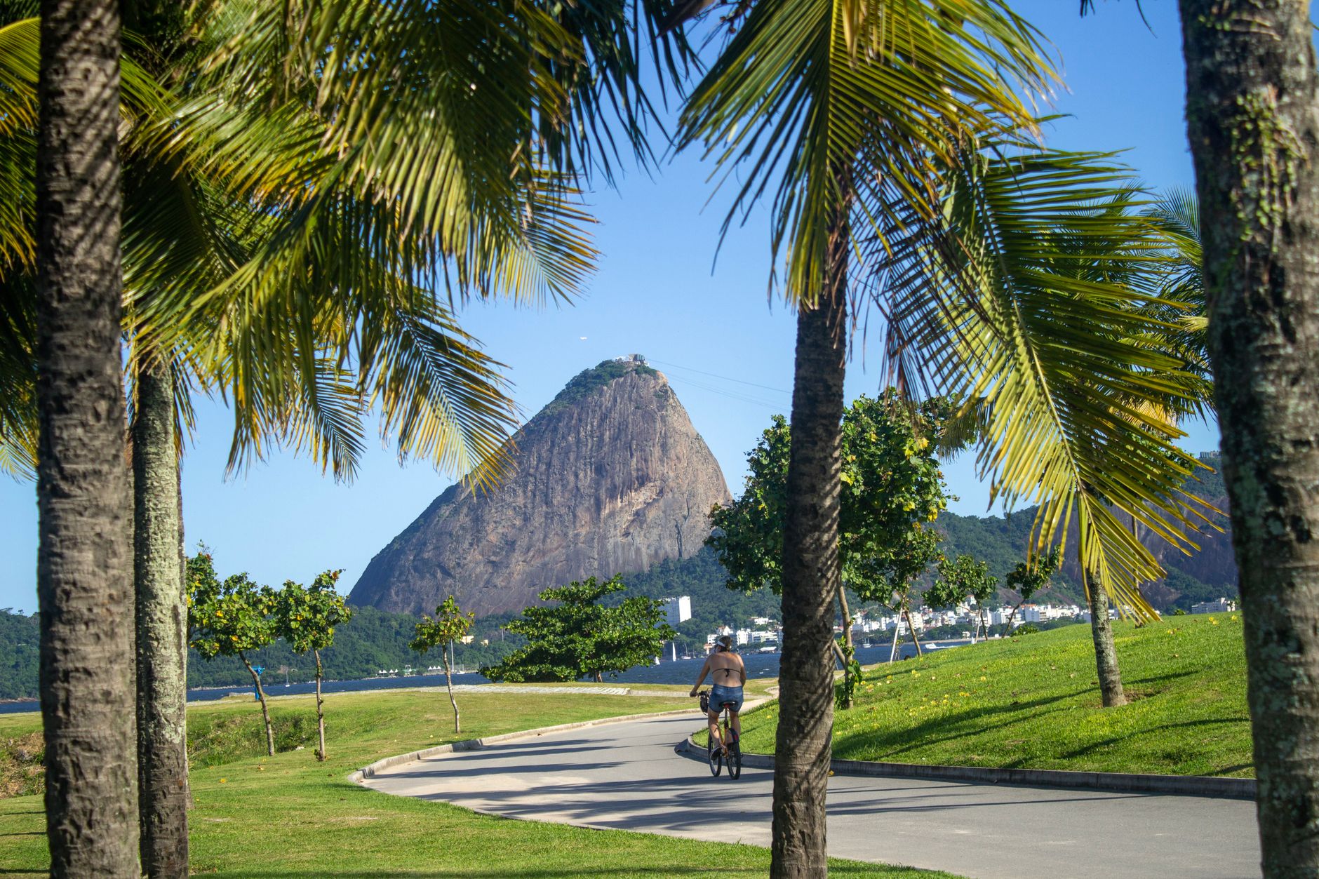 Vista panorámica de Río de Janeiro desde el Corcovado