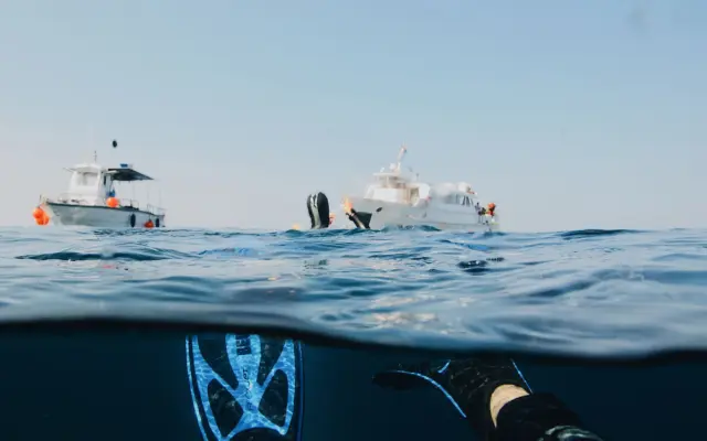 Buzo con equipo completo explorando fondos marinos en aguas del Mediterráneo
