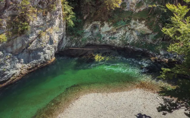Orillas del Danubio en Austria con vegetación exuberante