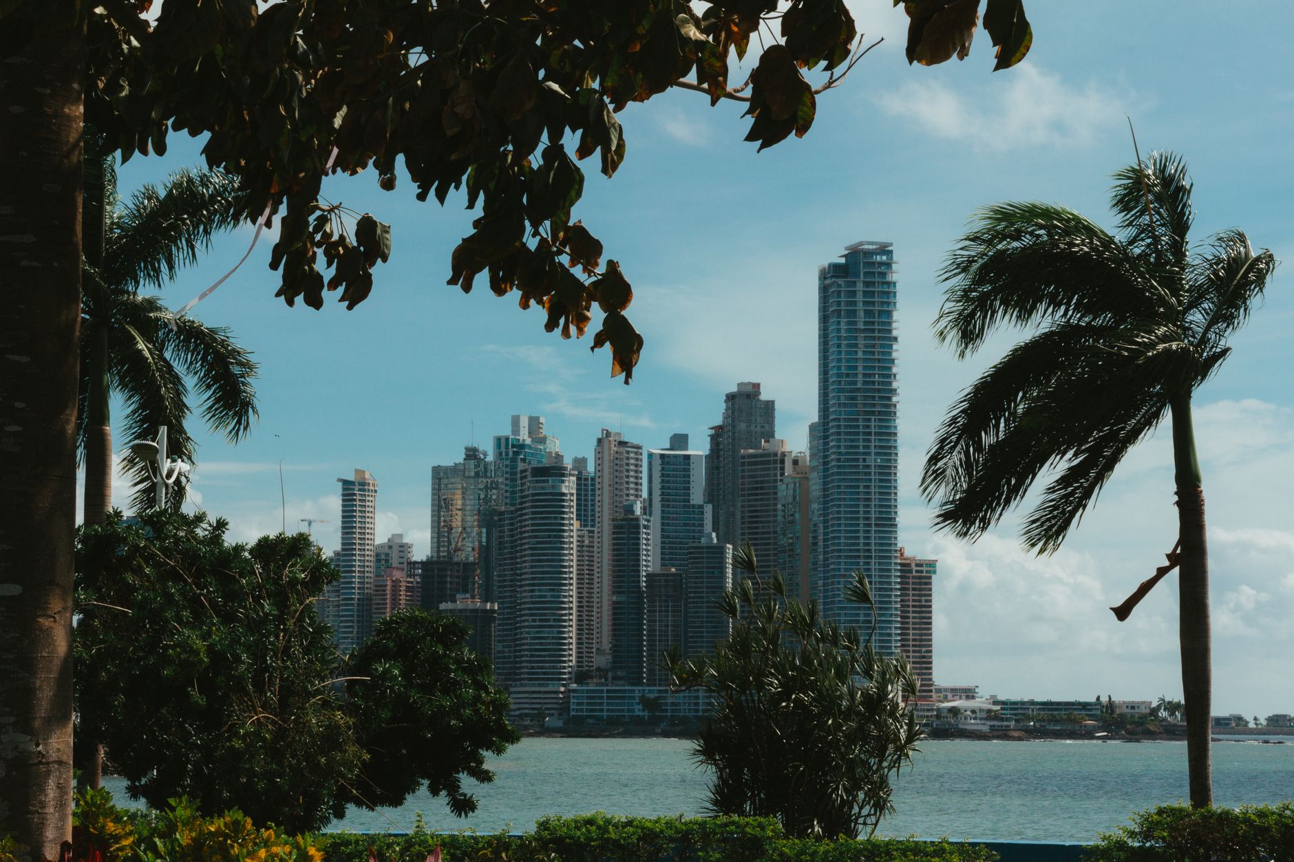 Ciudad de Panamá: qué ver, canal y consejos 2026 1 Rascacielos de Ciudad de Panamá vistos entre vegetación tropical
