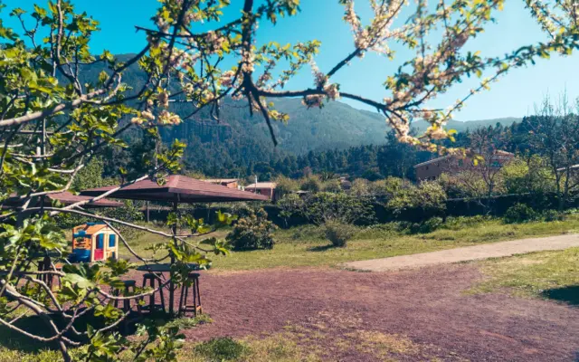Picnic en la naturaleza sobre manta con cesta y comida al aire libre