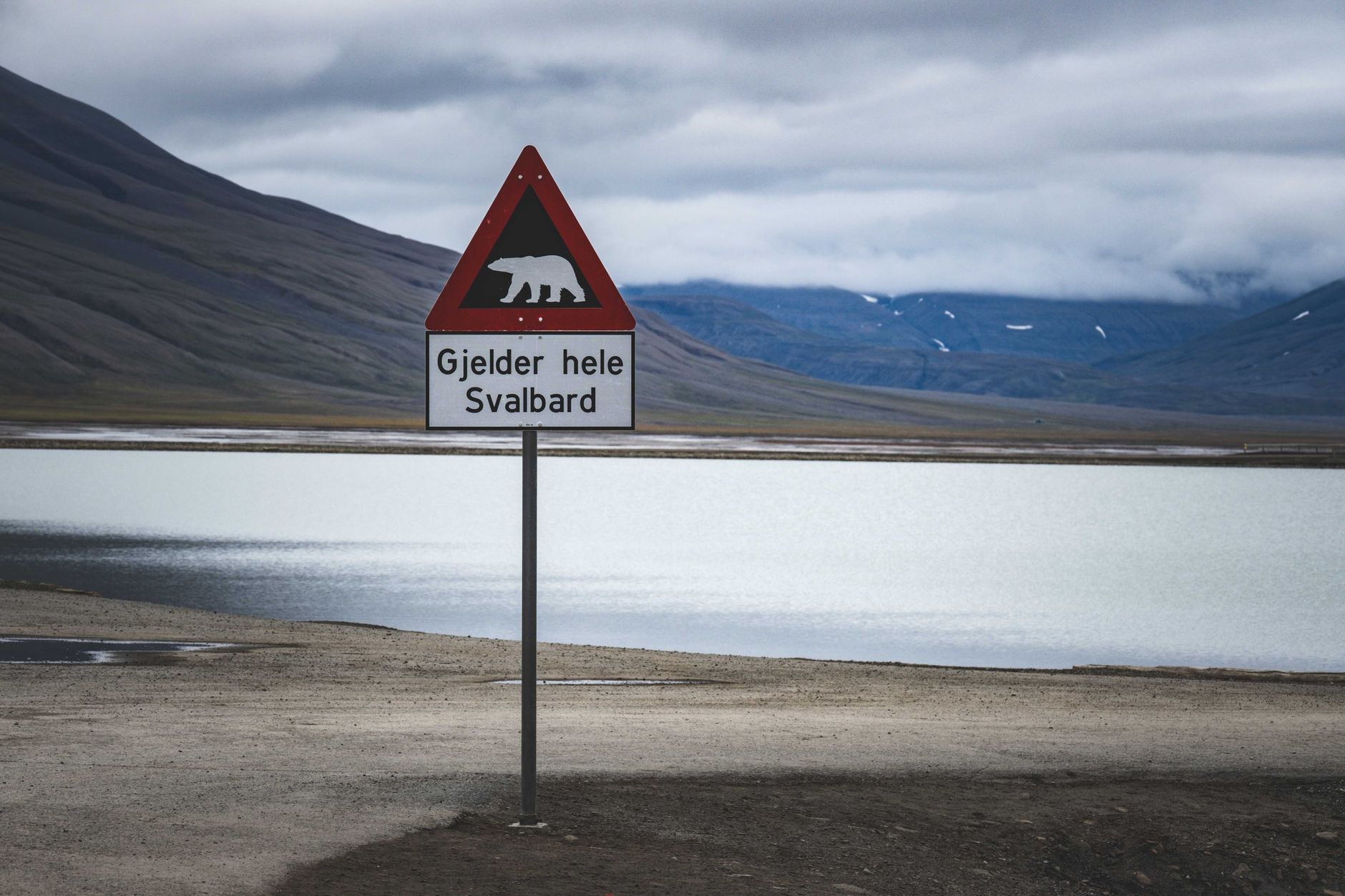 Svalbard: guía para viajar al Ártico en 2026 1 Cartel de advertencia de osos polares en Svalbard