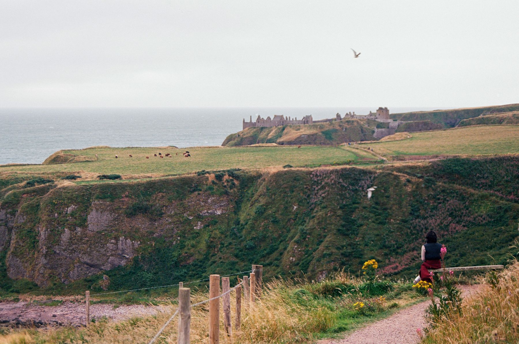 Castillo de Dunnottar sobre los acantilados de Aberdeenshire, Escocia