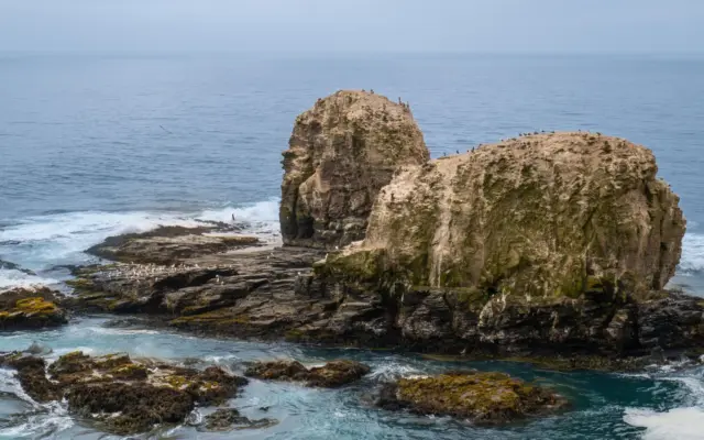 Costa rocosa de Chile con olas del Pacífico rompiendo contra las piedras