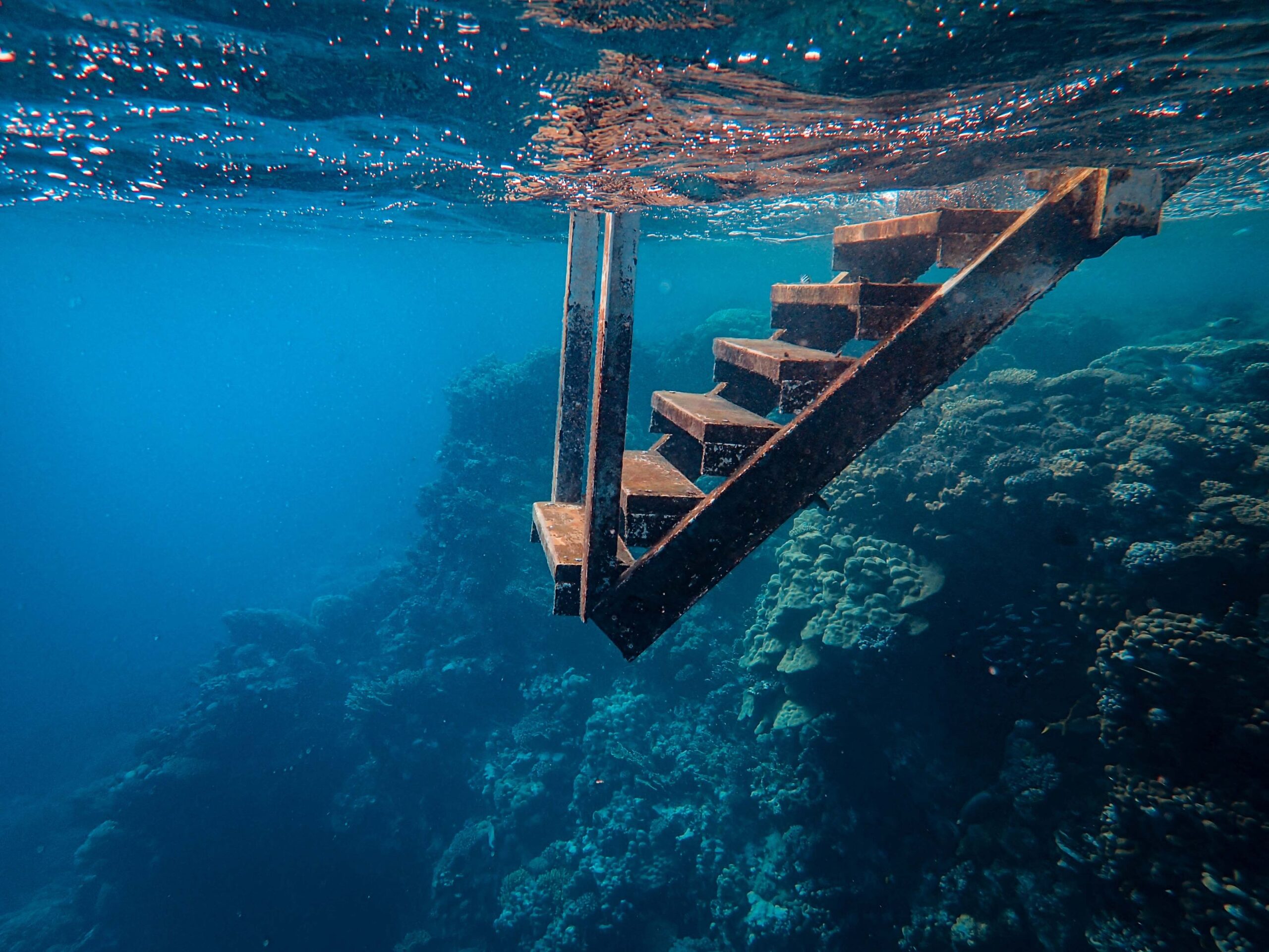 Hoteles bajo el agua: las suites submarinas más espectaculares del mundo 1 Escaleras submarinas hacia un arrecife de coral, buceo junto a un hotel bajo el agua