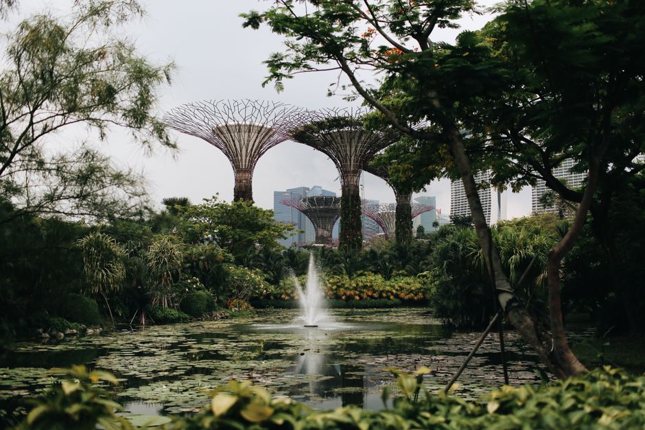 Supertree Grove en Gardens by the Bay, Singapur