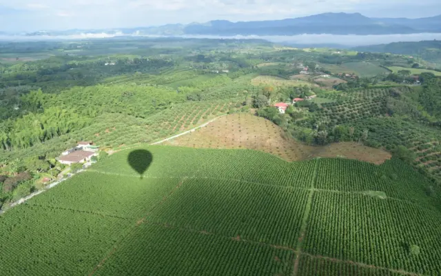 Vista aerea de campos verdes en el Quindio, region cafetera de Colombia
