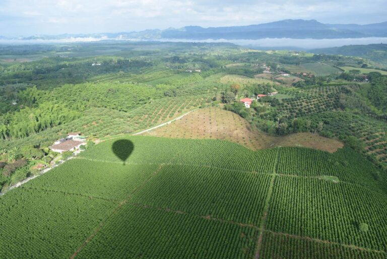 Home Elementor 5 Vista aerea de campos verdes en el Quindio, region cafetera de Colombia