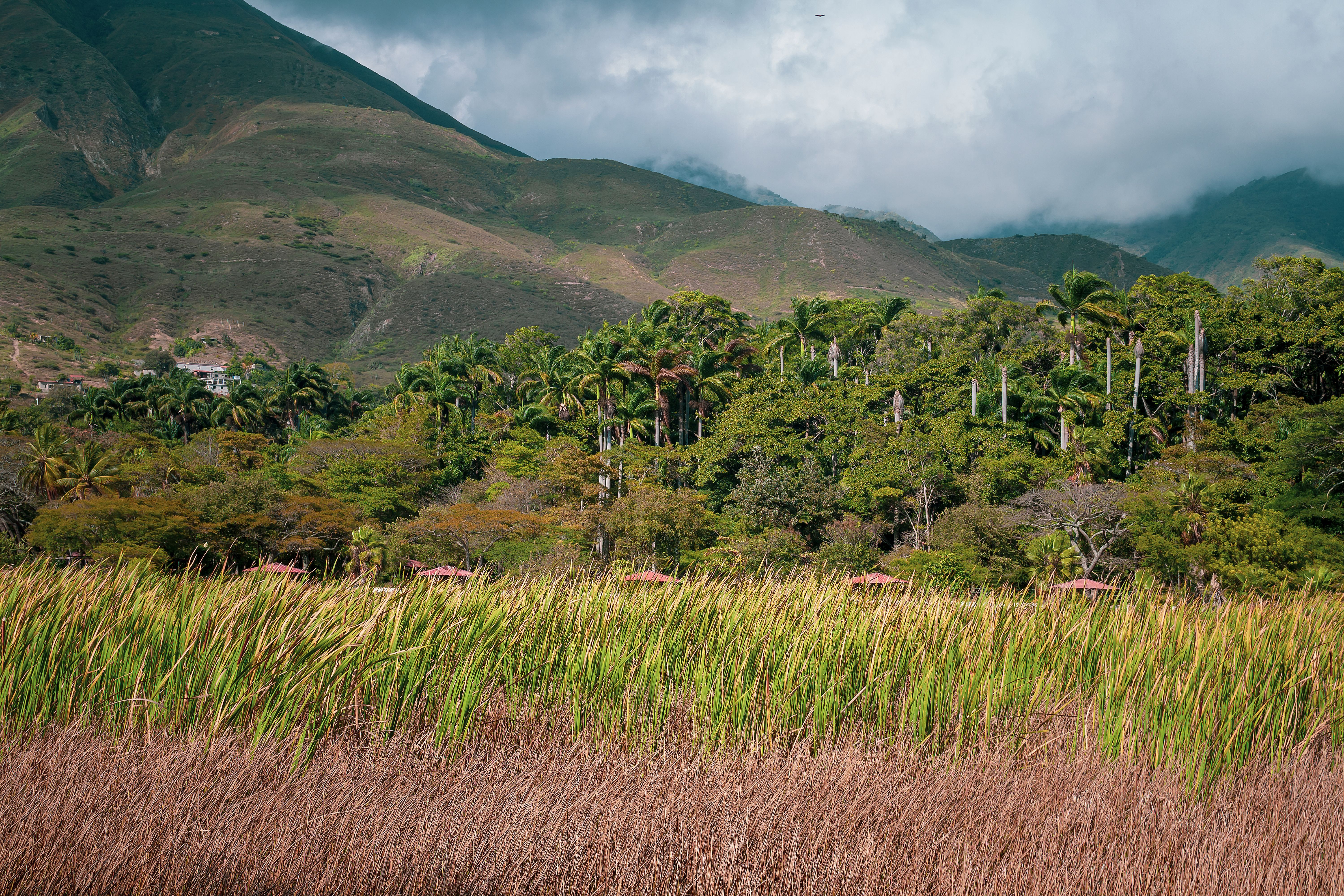 Paisaje natural del oriente de Venezuela